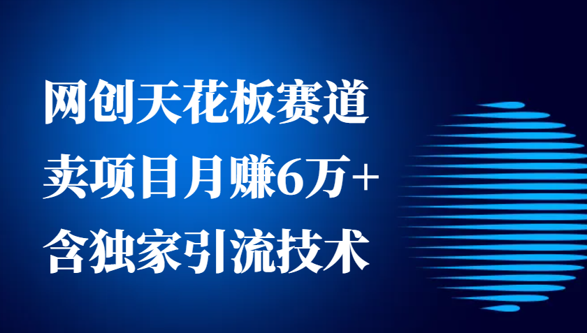 网创天花板赛道，卖项目月赚6万+，含独家引流技术(共26节课)-天逸网创社