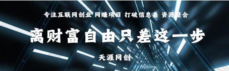 搭建同款资源网站，日入2000+-天逸网创社