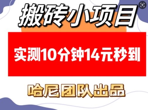 搬砖小项目，实测10分钟14元秒到，每天稳定几张(赠送必看稳定)-天逸网创社