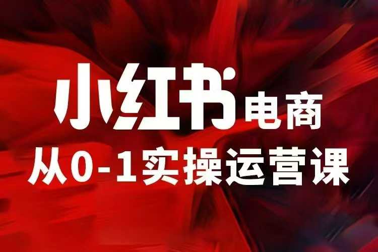 小红书电商运营，97节小红书vip内部课，带你实现小红书赚钱-天逸网创社