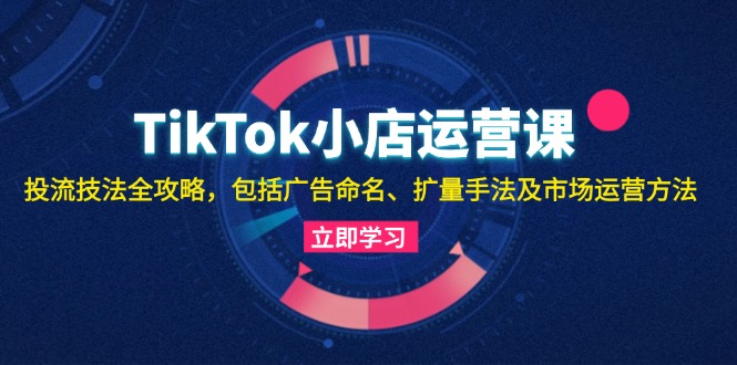 TikTok小店运营课：投流技法全攻略，包括广告命名 扩量手法及市场运营方法-天逸网创社