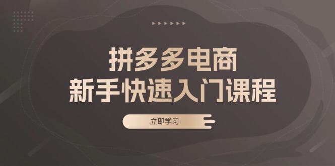 拼多多电商新手快速入门课程：涵盖基础、实战与选款，助力小白轻松上手-天逸网创社