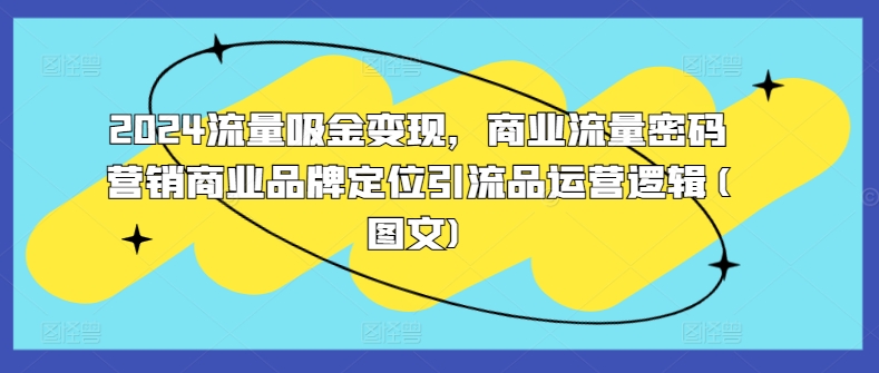 2024流量吸金变现，商业流量密码营销商业品牌定位引流品运营逻辑(图文)-天逸网创社