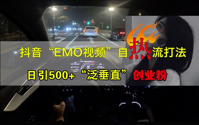 抖音EMO视频自热打法，日引500+“泛垂直”创业粉-天逸网创社