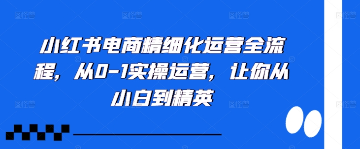 小红书电商精细化运营全流程，从0-1实操运营，让你从小白到精英-天逸网创社