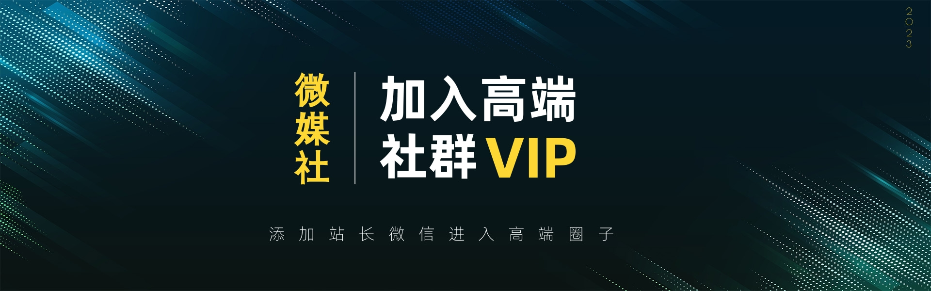 高端 VIP社群-天逸网创社