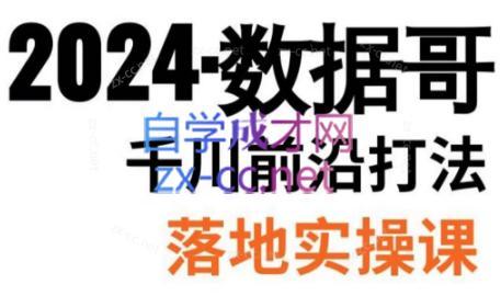 数据哥·2024年千川前沿打法落地实操课-天逸网创社