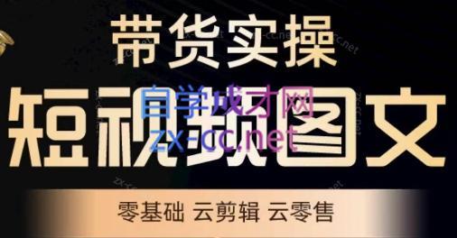 鑫哥·2024零基础短视频带货实操营-天逸网创社